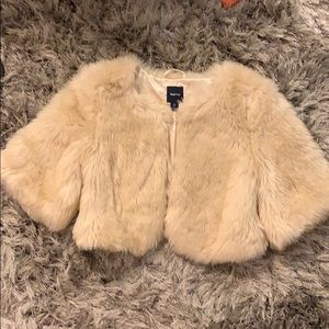 cream puffers cape